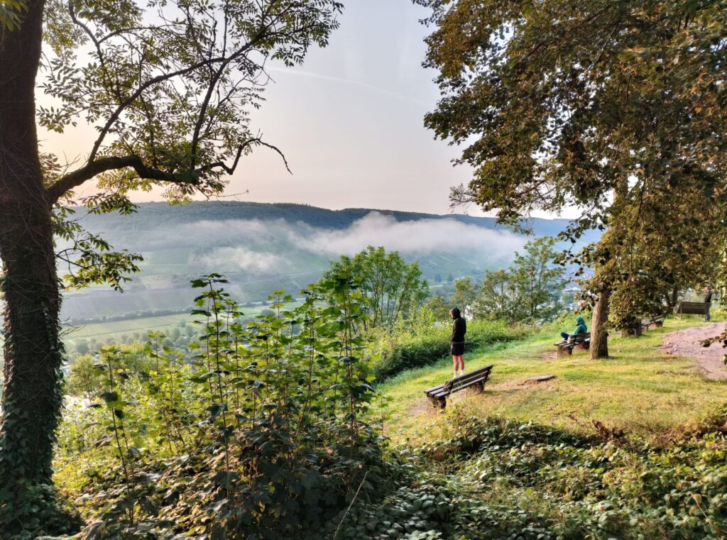 Natur wirkt positiv auf mentale Gesundheit